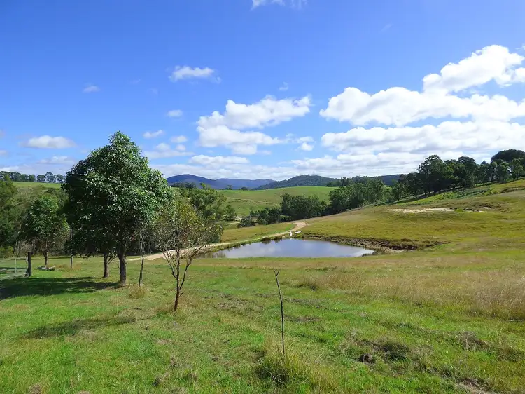 Second view of Homely rural property listing, 485 Pericoe Rd, Towamba NSW 2550
