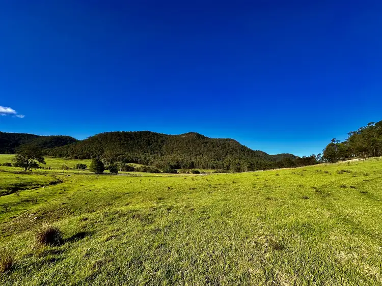 Seventh view of Homely rural property listing, Lot 1 Watagan Creek Road, Laguna NSW 2325