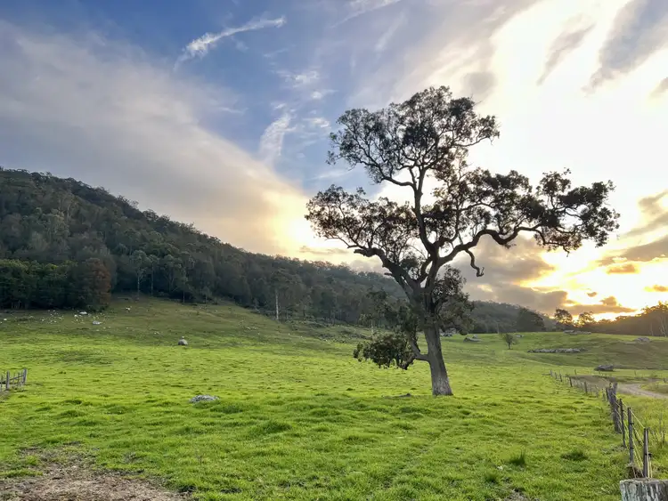 Fourth view of Homely rural property listing, Lot 21 Watagan Creek Road, Laguna NSW 2325