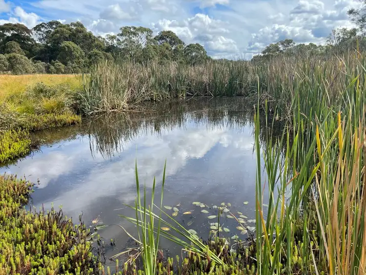 Fifth view of Homely house listing, 585 Sorrento Rd, Dalveen QLD 4374
