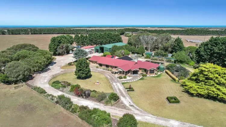 Third view of Homely rural property listing, 117 Aci Rd, Wye SA 5291