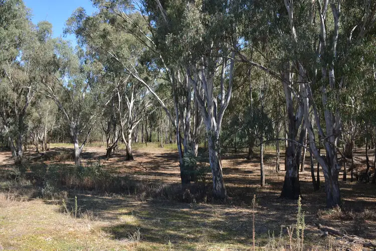 Fourth view of Homely land listing, 7 Pinewood Lane, Tocumwal NSW 2714