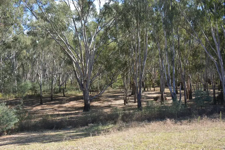 Fifth view of Homely land listing, 7 Pinewood Lane, Tocumwal NSW 2714