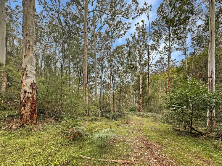 Lot 182 Stockyard Creek Road, Paynes Crossing NSW 2325