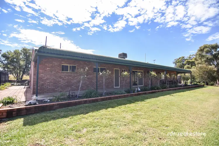Second view of Homely rural property listing, 161 Warialda Road, Warialda NSW 2402