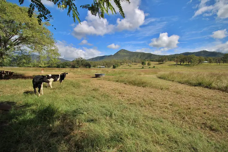 Sixth view of Homely rural property listing, 12 Main Camp Creek Rd, Thornton QLD 4341