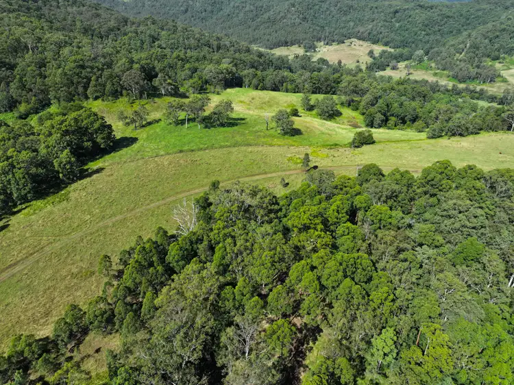 Sixth view of Homely rural property listing, 1146 Lynches Creek Road, Kyogle NSW 2474