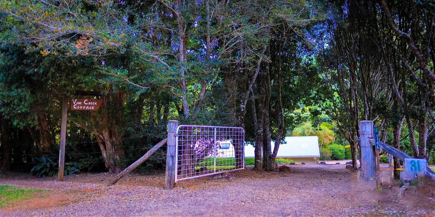 Main view of Homely rural property listing, 12 Fern Tree Pocket Rd, Ravenshoe QLD 4888