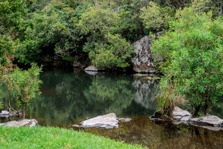 Third view of Homely rural property listing, 12 Fern Tree Pocket Rd, Ravenshoe QLD 4888
