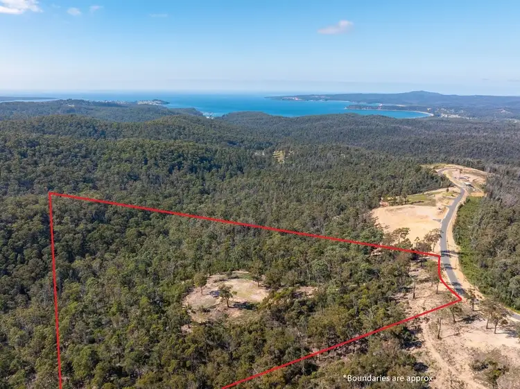 Main view of Homely rural property listing, 134 Silver Top Crescent, Nulliica Via, Eden NSW 2551