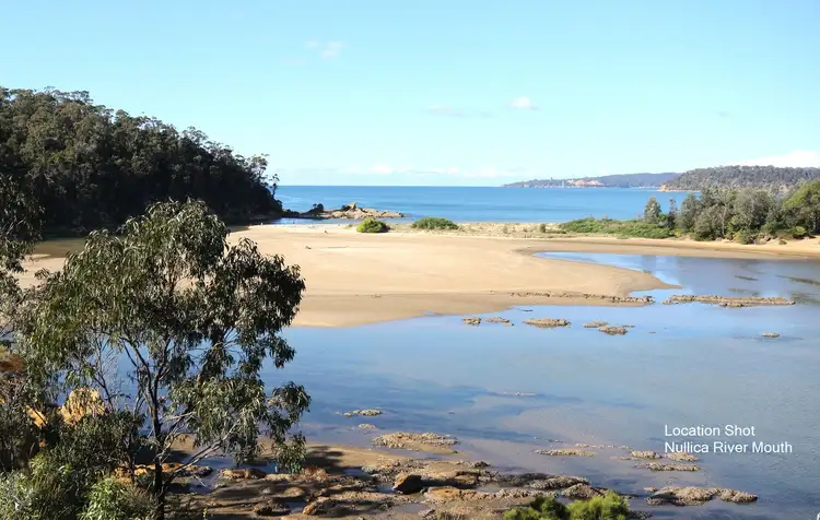 Fourth view of Homely rural property listing, 134 Silver Top Crescent, Nulliica Via, Eden NSW 2551