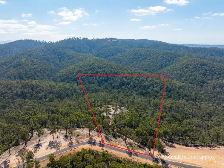 Sixth view of Homely rural property listing, 134 Silver Top Crescent, Nulliica Via, Eden NSW 2551