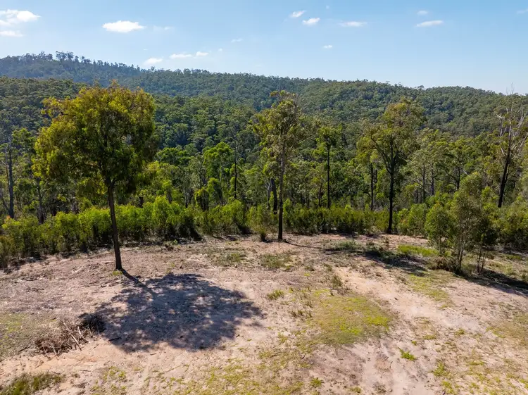 Seventh view of Homely rural property listing, 134 Silver Top Crescent, Nulliica Via, Eden NSW 2551