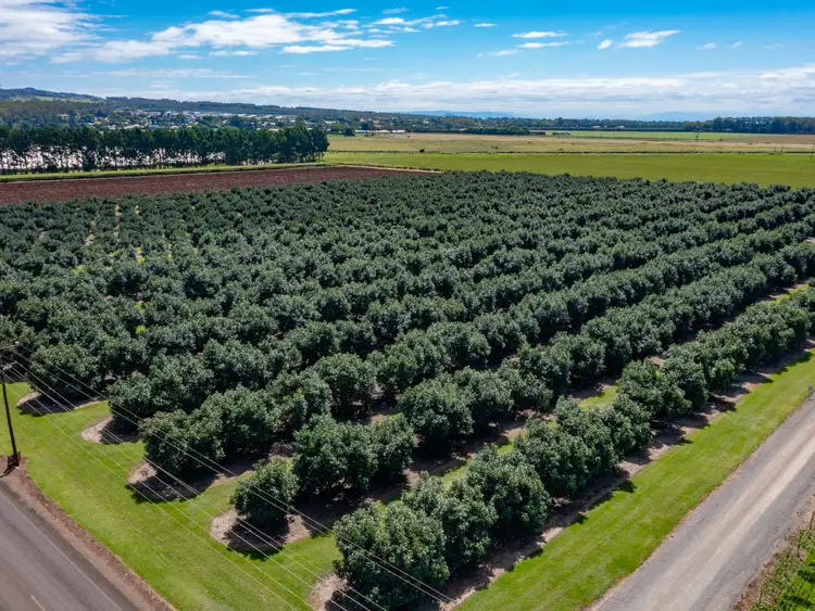 Third view of Homely rural property listing, Address available on request