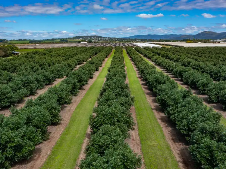 Fourth view of Homely rural property listing, Address available on request