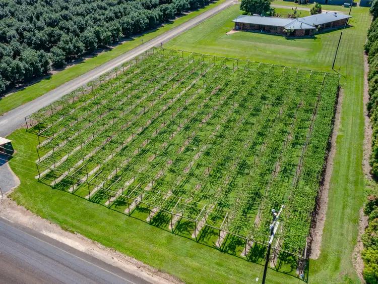 Fifth view of Homely rural property listing, Address available on request