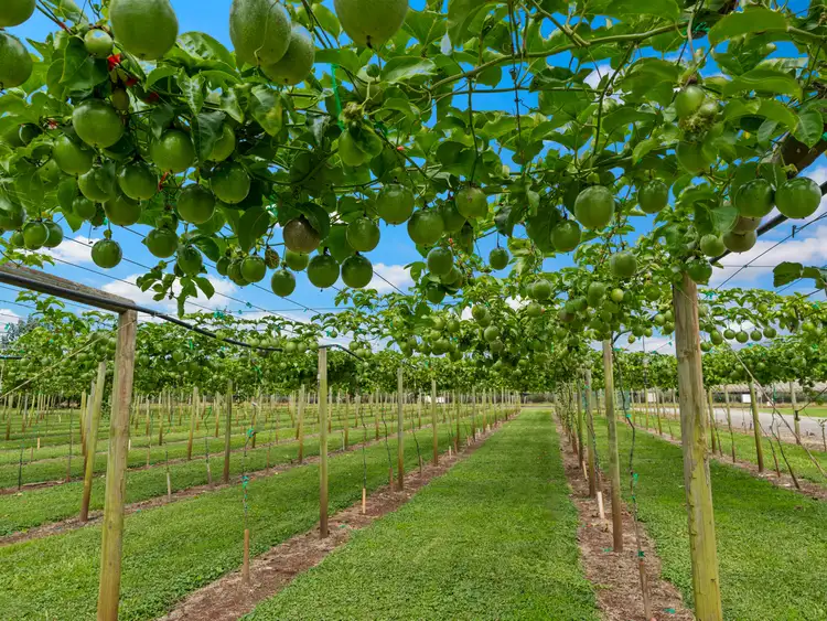 Sixth view of Homely rural property listing, Address available on request