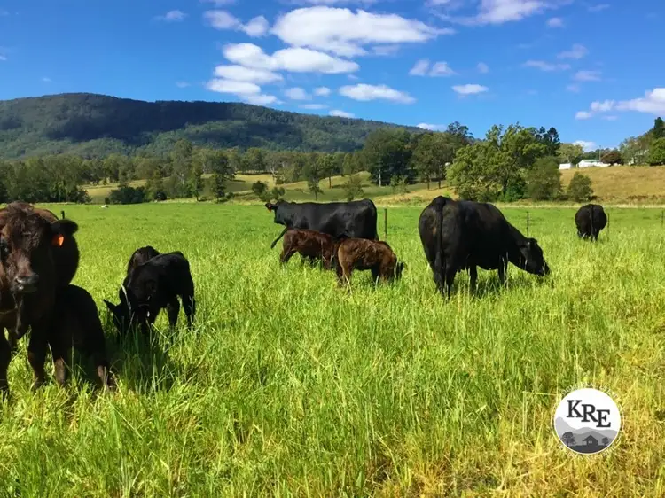 Lot 48 Back Creek Road, Kyogle NSW 2474