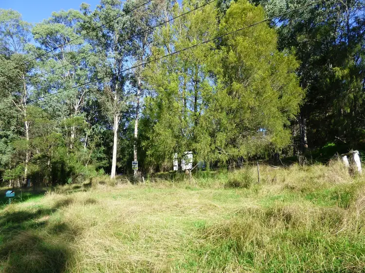 Fifth view of Homely land listing, 38 Nangutta Street, Towamba NSW 2550