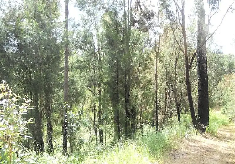 Main view of Homely land listing, 305 Greys Lane, Ravenshoe QLD 4888