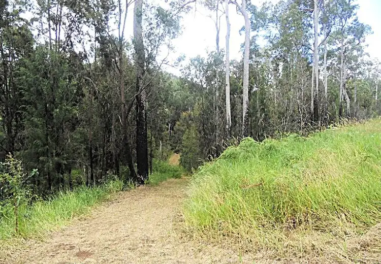 Third view of Homely land listing, 305 Greys Lane, Ravenshoe QLD 4888