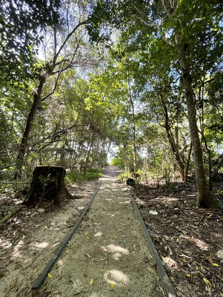 Sixth view of Homely house listing, 29 Koda St, Wongaling Beach QLD 4852