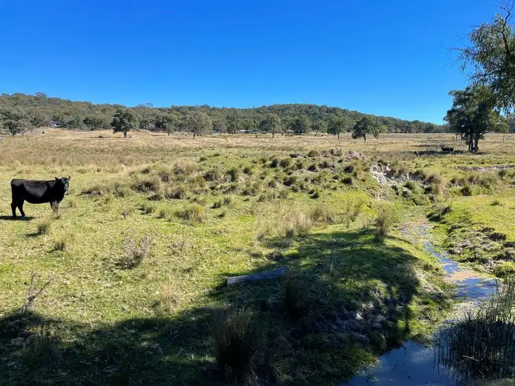 Main view of Homely land listing, 58 Eukey Road, Stanthorpe QLD 4380