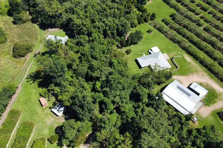 Main view of Homely rural property listing, 281 Dingo Pocket Rd, Dingo Pocket QLD 4854