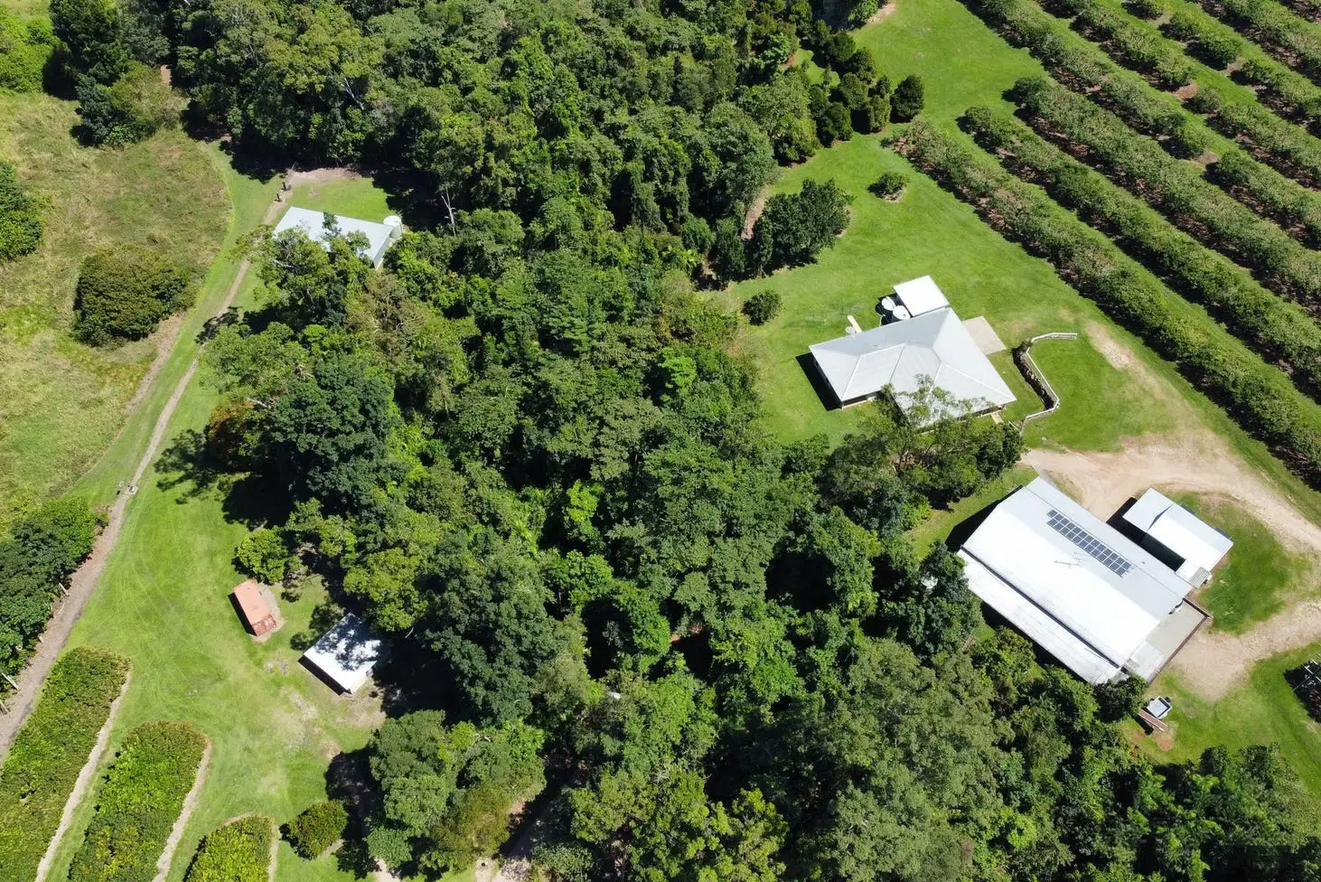 Main view of Homely rural property listing, 281 Dingo Pocket Rd, Dingo Pocket QLD 4854