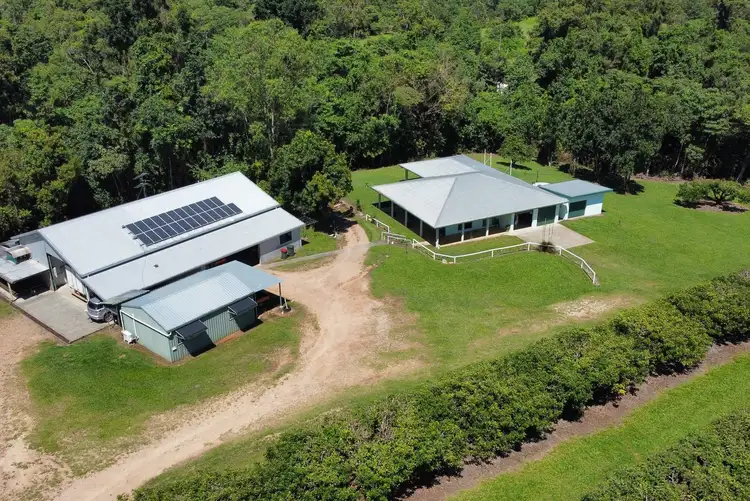 Third view of Homely rural property listing, 281 Dingo Pocket Rd, Dingo Pocket QLD 4854