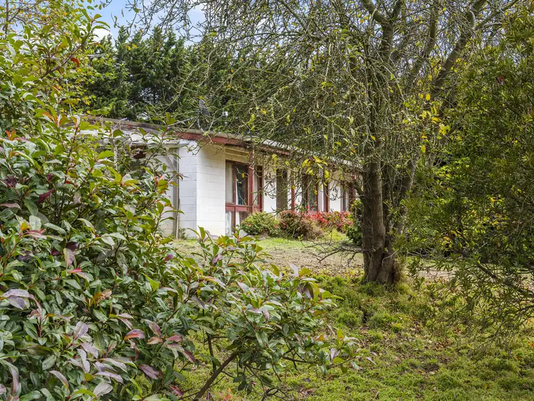 Fourth view of Homely house listing, 1321 Kilmore-Lancefield Rd, Springfield VIC 3434