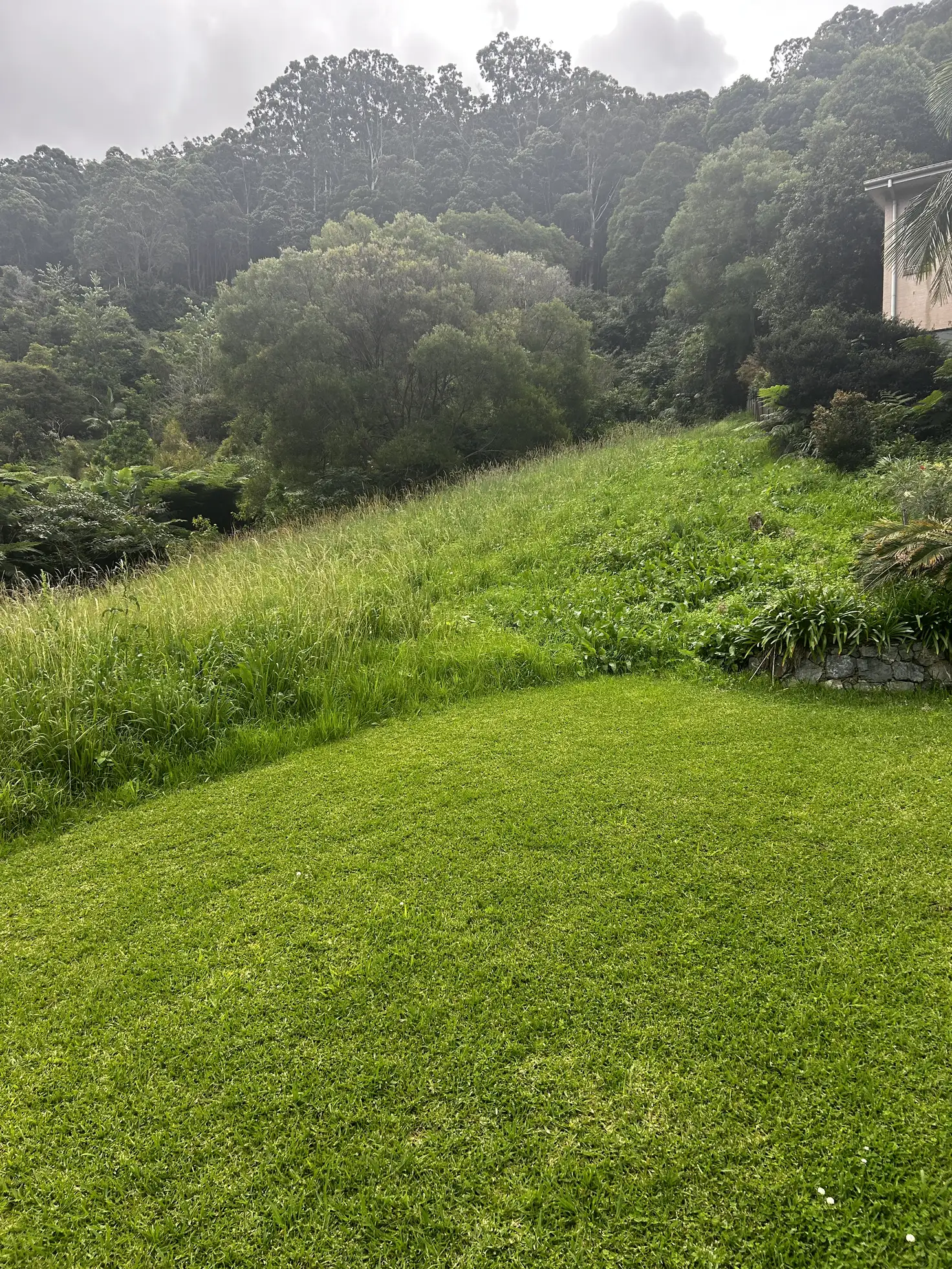 Main view of Homely land listing, 8 Gallagher Pl, Coffs Harbour NSW 2450