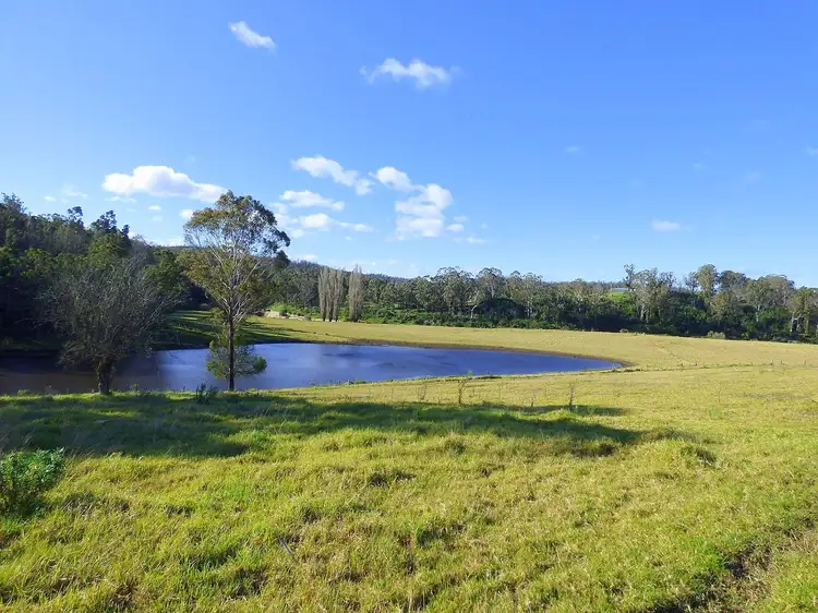 Second view of Homely rural property listing, 691 The Snake Trk KIAH Via, Eden NSW 2551
