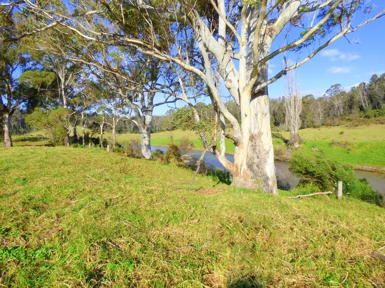 Fourth view of Homely rural property listing, 691 The Snake Trk KIAH Via, Eden NSW 2551