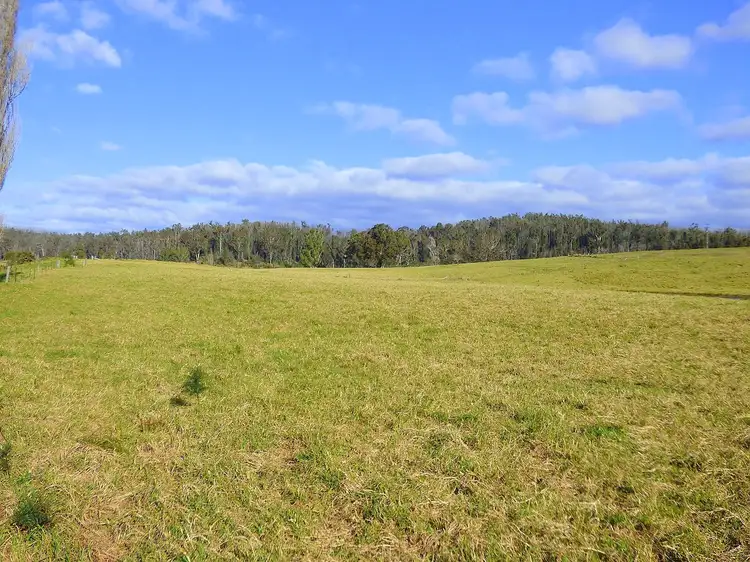 Fifth view of Homely rural property listing, 691 The Snake Trk KIAH Via, Eden NSW 2551