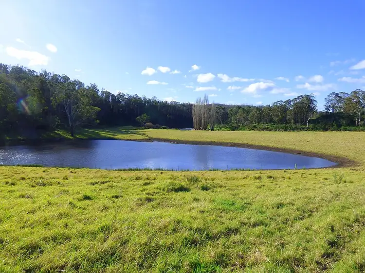 Sixth view of Homely rural property listing, 691 The Snake Trk KIAH Via, Eden NSW 2551
