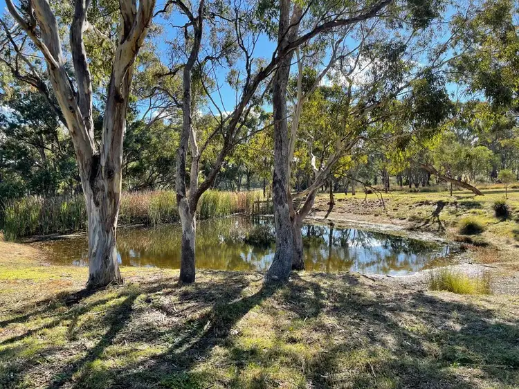 Third view of Homely house listing, 78 Cameron Rd, Stanthorpe QLD 4380