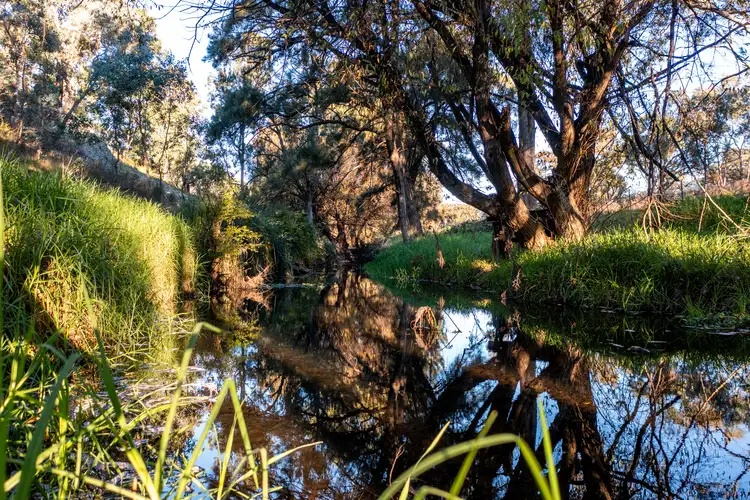 Fourth view of Homely rural property listing, 673 Queens Pinch Rd, Mullamuddy NSW 2850