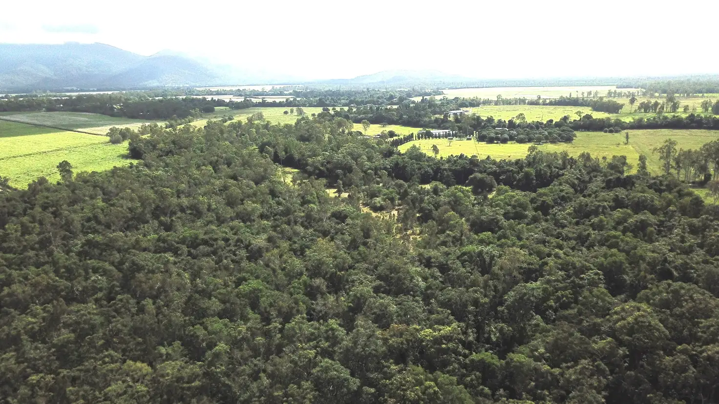 Main view of Homely land listing, LOT 4 Ellerbeck Rd, Carruchan QLD 4816
