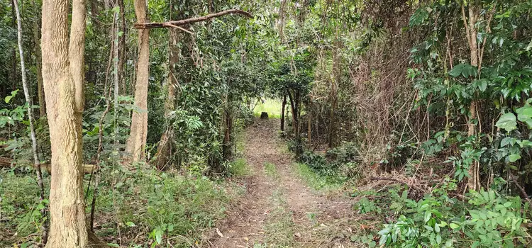 Fourth view of Homely land listing, LOT 4 Ellerbeck Rd, Carruchan QLD 4816