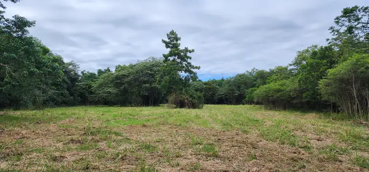 Fifth view of Homely land listing, LOT 4 Ellerbeck Rd, Carruchan QLD 4816