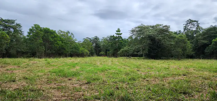 Sixth view of Homely land listing, LOT 4 Ellerbeck Rd, Carruchan QLD 4816