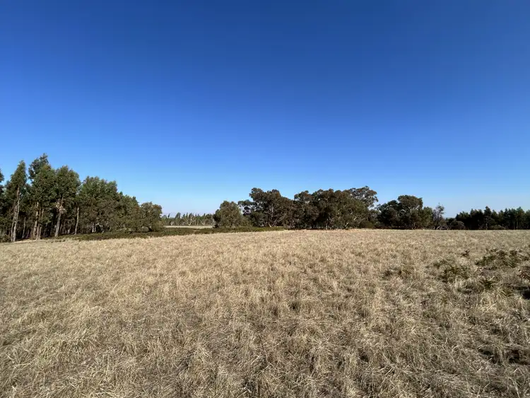 Fourth view of Homely rural property listing, Section 386 Black Range Road, Lucindale SA 5272