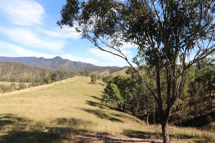 Lot 81/7986 Kempsey Rd, Lower Creek NSW 2440