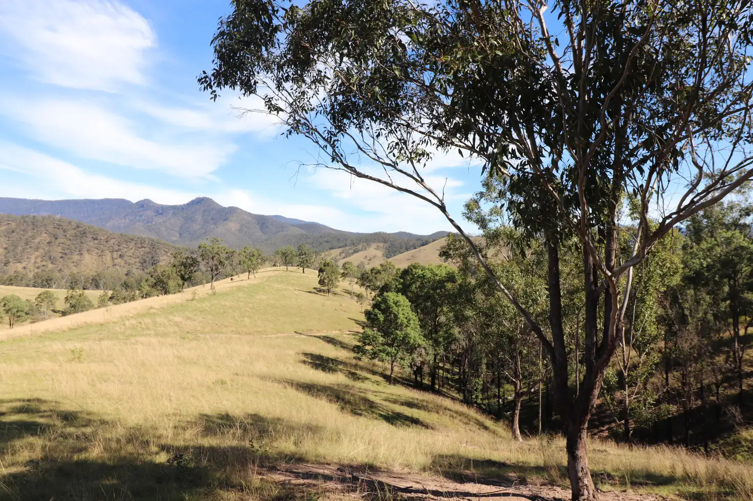 Main view of Homely rural property listing, Lot 81/7986 Kempsey Rd, Lower Creek NSW 2440