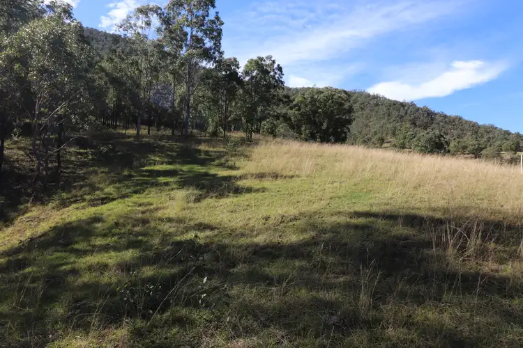 Third view of Homely rural property listing, Lot 81/7986 Kempsey Rd, Lower Creek NSW 2440