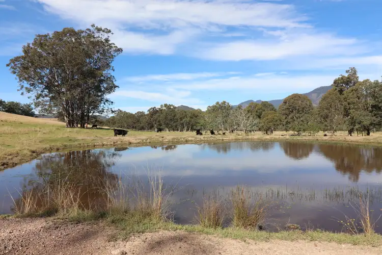 Main view of Homely rural property listing, Lot 2/7986 Kempsey Rd, Lower Creek NSW 2440