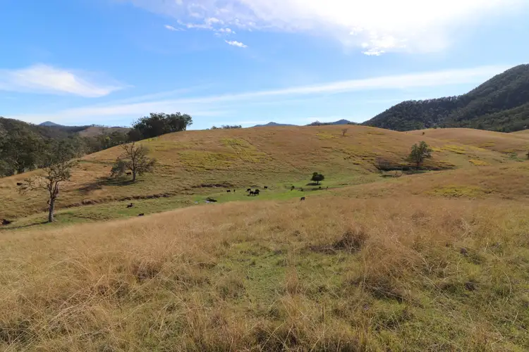 Second view of Homely rural property listing, Lot 2/7986 Kempsey Rd, Lower Creek NSW 2440