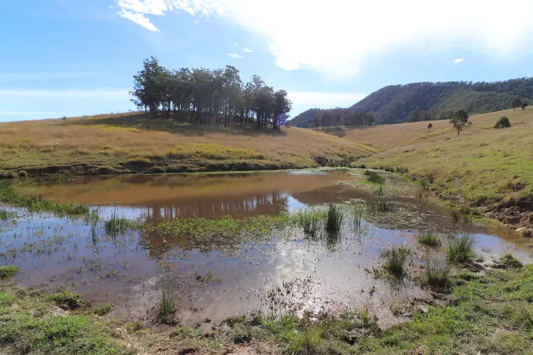 Fourth view of Homely rural property listing, Lot 2/7986 Kempsey Rd, Lower Creek NSW 2440