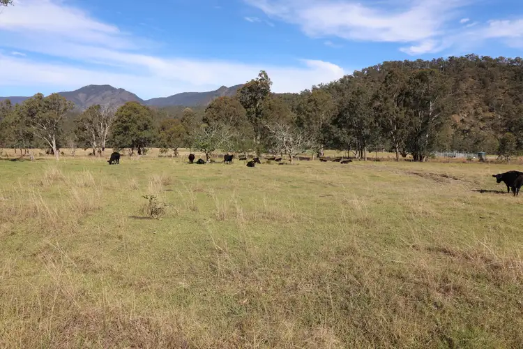 Seventh view of Homely rural property listing, Lot 2/7986 Kempsey Rd, Lower Creek NSW 2440